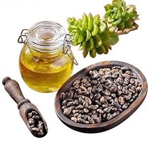 Aceite de Ricino Prensado en Frío, Aceite Puro y Natural de Ricinus Communis para el Crecimiento del Cabello, Cuidado de la Piel y Productos Cosméticos - Product Image 1