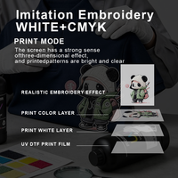 Encre DTF UV neutre FCOLOR pour tête d'impression Epson I3200 Xp600 L805 L1800 Dx5 Dx7 R1390 R2000 P400
