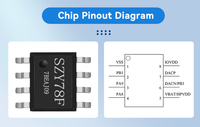 SZY78F2 SOP8 96s 32-bit Flash MP3 Speech IC 3 Broches E/S numériques programmables Applications multiples d'effacement Serrure de porte