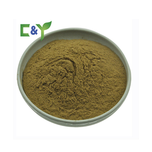 Giao hàng nhanh <span class=keywords><strong>Ginkgo</strong></span> <span class=keywords><strong>Biloba</strong></span> sản phẩm <span class=keywords><strong>Ginkgo</strong></span> <span class=keywords><strong>Biloba</strong></span> bột <span class=keywords><strong>Ginkgo</strong></span> <span class=keywords><strong>Biloba</strong></span> lá chiết xuất - Product Image 2