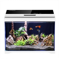 Aquarium de bureau en verre ultra-clair, kit tout-en-un avec éclairage LED changeant de couleur pour la décoration de la maison et du bureau