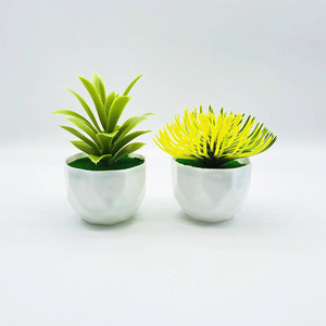 Plantes succulentes artificielles Qi Xing en pot, 13 cm, décoration de verdure du désert en plastique, utilisation intérieure et extérieure - Product Image 1