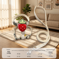 Laisse de mode pour chat avec jouet en peluche monté au dos et chaîne en forme de I mignonne motif fraise pour petits chiens et chats - Promenades en extérieur