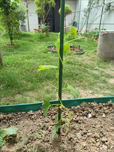 Treillis de jardin, <span class=keywords><strong>support</strong></span> tubulaire pour plantes, treillis pour concombres, <span class=keywords><strong>support</strong></span> pour légumes, poteau de soutien pour fleurs, étagère de jardinage, <span class=keywords><strong>support</strong></span> pour plantes grimpantes - Product Image 5