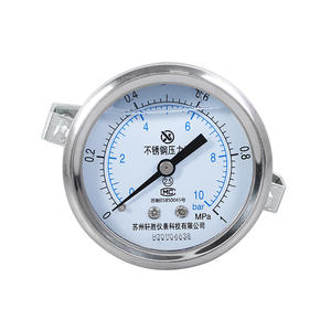 Manomètre en acier inoxydable Suzhou XuanSheng YNBF-60Z 60 mm analogique 10 bars MPa à montage sur panneau - Product Image 1
