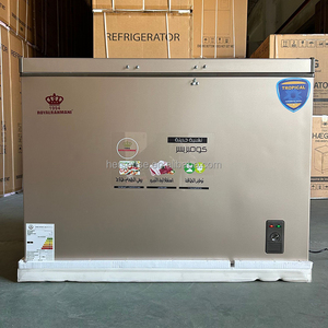 Congelador Horizontal Royal RR15 500FR de 269 Litros con Doble Puerta y Sistema Push-Pull, Color Dorado, para Almacenamiento Doméstico y Comercial, GMCC, Mercado Árabe - Product Image 4