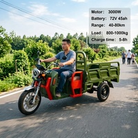 Tricycle électrique Cargo NC09 3000W, 3 roues, pour passagers adultes, pneus larges, Tuk Tuk, vélo électrique, carrosserie ouverte, charge utile 400 kg, 45 km/h