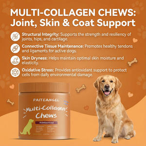 Golosinas Masticables para Perros con Multi-Colágeno de Marca Privada Personalizada, Membrana de Cáscara de Huevo de Pescado y Bovino, Soporte para Articulaciones y Piel, Suplemento al por Mayor OEM - Product Image 1