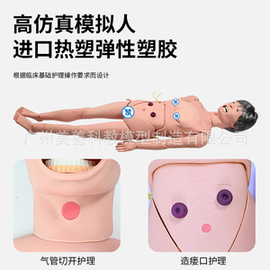 Modelo Humano de Enseñanza Médica para Personas Mayores, con Funciones Completas, para el Cuidado de Ancianos (Femenino y Masculino) - Product Image 2
