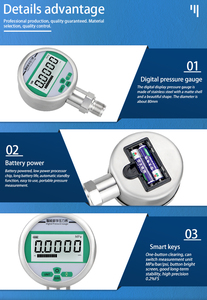 מד לחץ דיגיטלי עם צג LCD, נירוסטה 304, דיוק גבוה 0.5%, ניתן להתאמה אישית - Product Image 5