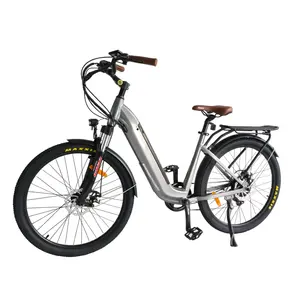 China factory cheap 36V electric bicycle electric bike ebike