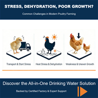 Premezcla de Electrolitos para Aves de Corral, Enzimas, Vitaminas, Aminoácidos |   Aditivo alimentario soluble en agua para promover la rehidratación y combatir el estrés