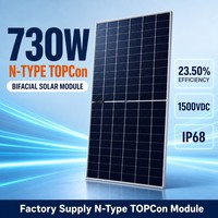 Panneau Solaire Monocristallin Noir 730W N en Gros, Efficacité 23,5%, 132 Demi-Cellules, Cadre en Alliage d'Aluminium Anodisé
