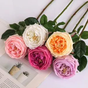 Toptan düğün dekoratif çiçekler gerçek dokunmatik güller yapay David Austin gül çiçek