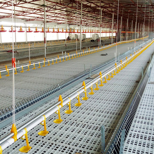 Gia Cầm Trang Trại Thiết Bị Giống Gà Thịt Chuỗi <span class=keywords><strong>Feeder</strong></span> Hệ Thống - Product Image 1