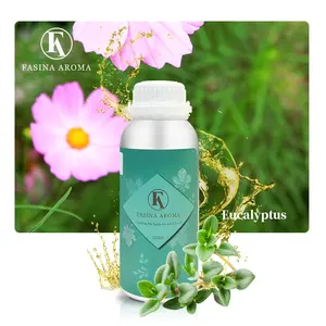 wholesale Eucalyptus aroma essential oil fragrance oil designer essential oil fragrance