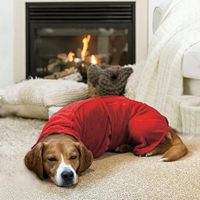 Peignoir de bain pour chien et chat en microfibre 356 GSM, super absorbant, séchage rapide, avec sangle élastique pour les pattes