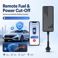 Harga Pabrik GPS Tracker R16 1 Tahun Pelacakan Gratis 2G WiFi LBS 4G Aplikasi Android Penyimpanan Cloud PC Penggunaan Otomotif