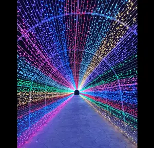 2023新设计节日婚礼发光二极管装饰定制户外巨型3D发光二极管金属框架街道拱形隧道图案灯