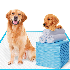Venta caliente XL cachorro perro entrenamiento mascota inodoro orinar almohadillas desechables impermeable transpirable impreso OEM servicio hecho PE película japonesa - Product Image 1