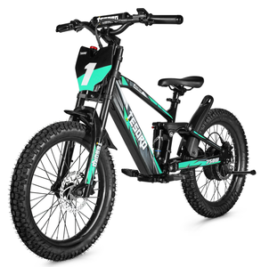 TESORO-Vélo tout-terrain électrique Lianmei de 18 pouces, 20 pouces, 350W, 500W, 750W, sans pédale, pour enfants - Product Image 3