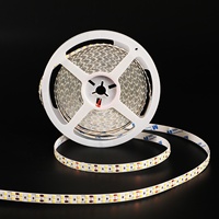 Tira de Luces LED Blanca de Alta Densidad de 10 mm, Cortable, de 240D, con Doble Adhesivo, SMD2835, 12 V, 24 V, 20 W, en Oferta