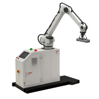 Machine de palettisation robotisée automatique avec pince personnalisée pour la palettisation de cartons et de sacs