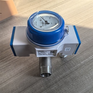 ขายดี ตัวควบคุมการไหลแบบกลไก Krohne Dw181/rr/a/k2 รุ่น Dn25 ผลิตตามมาตรฐาน OEM พร้อมวัสดุสแตนเลสออสเทนนิติก ความแม่นยำ 3% - Product Image 3