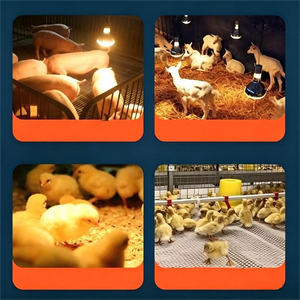 Lampe chauffante de haute qualité 250W pour animaux de ferme (porcs et poulets) - Product Image 5