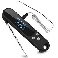 Thermomètre numérique intelligent pour viande avec écran LED étanche IPX4, 2 sondes, thermomètre instantané pour grillades, aimant au dos, thermomètre domestique
