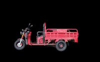 Triciclo Elettrico per Carichi Pesanti 1500W con Cassone da 1,6m, Semi-Chiuso, a 3 Ruote, per Logistica e Consegne