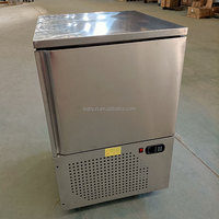 Tunnel de congélation en acier inoxydable 304, vente en gros à prix réduit, congélateur basse température, acier inoxydable haute efficacité