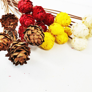 <span class=keywords><strong>Flora</strong></span> — fleurs décoratives d'intérieur pour la maison, vente en gros, motifs de cône de pin sec naturel, fournitures de fleurs pour bouquet, été - Product Image 5