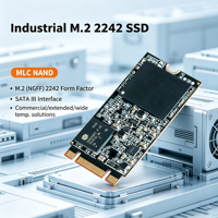 SSD industriel M.2 2242 basse consommation, résistant aux vibrations, prise en charge TRIM SMART pour enregistreur de données de terrain industriel portable