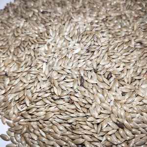 Precio al por mayor, semillas de canario a granel, comida para pájaros, semillas de loros, semillas de Canario para pájaros - Product Image 5