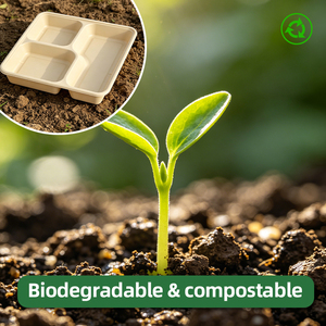 Bandeja de Comida Desechable, Biodegradable, Compostable, Portátil, de 3 Compartimentos, Resistente, Hecha de Bagazo de Caña de Azúcar, para Camping y Aire Libre - Product Image 4