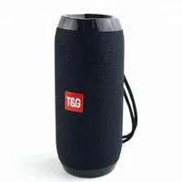 TG117 Enceinte sans fil portable d'extérieur 5.0 avec double caisson de basses, barre de son et radio FM en plastique