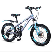Bicicleta de Entrenamiento Ligera para Niños y Niñas, Cuadro de Acero Soldado con Argón, Frenos V, Pedales Ordinarios, Una Velocidad, Carga Máxima 75 kg