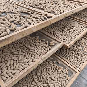 Incienso fragante de madera de agar para el hogar, conos naturales de incienso de flujo inverso, conos en forma de bala con aroma a madera de cedro. - Product Image 4