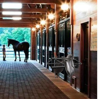 Support mural pour selle de cheval Grange Tack Room Pad