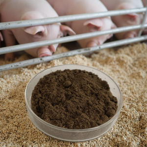 El potenciador del crecimiento <span class=keywords><strong>natural</strong></span> sin antibióticos para cerdos mejora la digestión y la inmunidad conservante en polvo de enzima Grado de alimentación animal - Product Image 3
