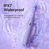 Brosse à dents électrique sonique oscillante IPX7 pour adultes, poils Dupont, tête de brosse souple, Type-C, marque OEM, étiquette privée, ventes en vogue