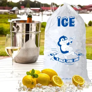 Ice Packs For Shipping Bolsas Para Hielo De 10 Libras Ice Storage Bag