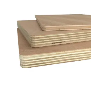 4*8 3/4 "melamine ván ép cho đồ nội thất thương mại okoume plywoods bạch đàn plywoods