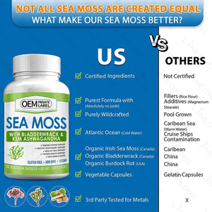 OEM/ODM Sea Moss Pills Certified Irish <strong>Seamoss</strong> Capsules Bladderwrack Irish Sea Moss Capsules - Product Image 3