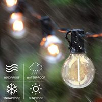 5 Watt E12 Base B22 Ampoules LED équivalentes Intérieur Extérieur Globe Guirlande Lumineuse 4000K CCT Remplacement du corps de la lampe en verre pour une utilisation en intérieur