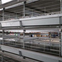 Cages à batterie à prix abordables pour volailles, type H, pour 20 000 poulets, équipement d'élevage avicole