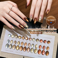 Vernis à ongles gel effet œil de chat brun doré 12 couleurs, ambre noir, caramel, café, satiné, perles de verre, gel œil de chat nécessitant une lampe UV pour sécher