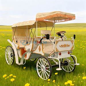 2026 Chariot de chevaux électrique européen pour tourisme et mariages - Product Image 1