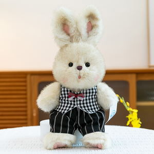 Peluche de Conejo de Pascua al por Mayor - Muñeco de Conejo Personalizado para Niños, Animal de Peluche Suave y Regalo Festivo - Product Image 5